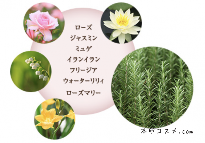 公式サイトより