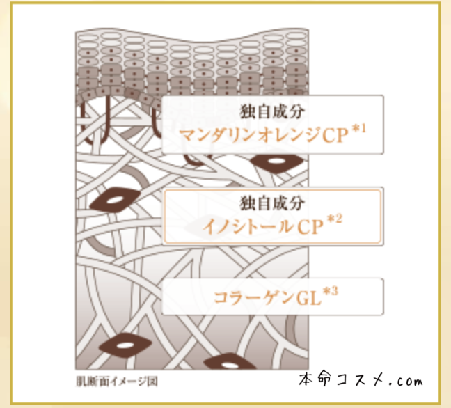 公式サイトより