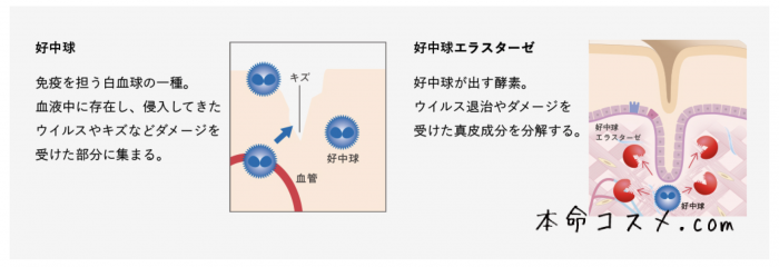 POLAリンクルショットテクスチャー