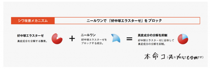 POLAリンクルショットテクスチャー