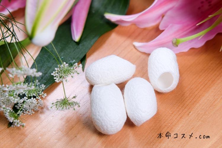 カイコの繭のまゆたま